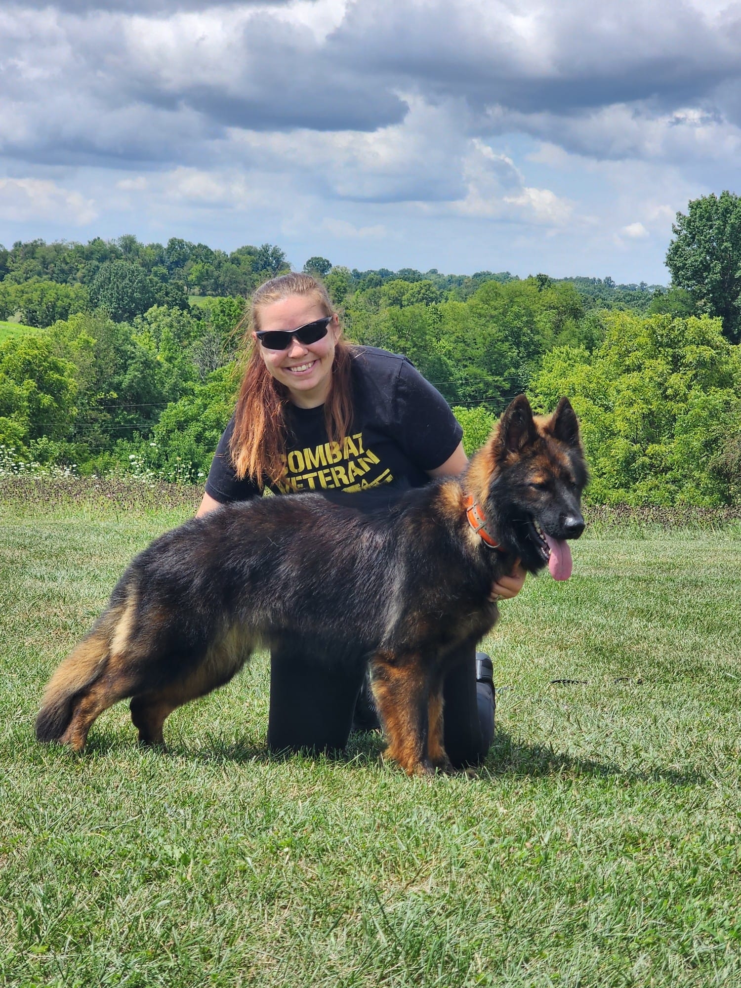 long coat german shepherds