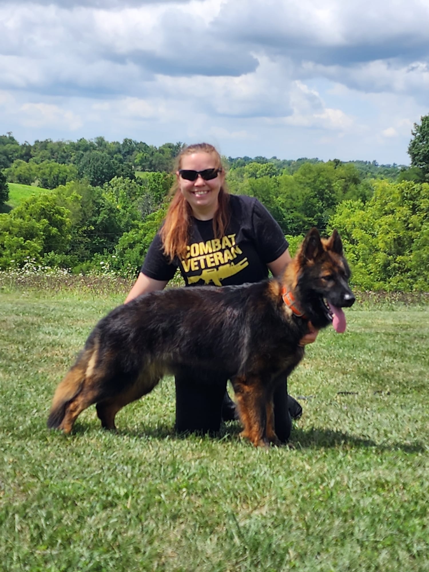 long coat german shepherds