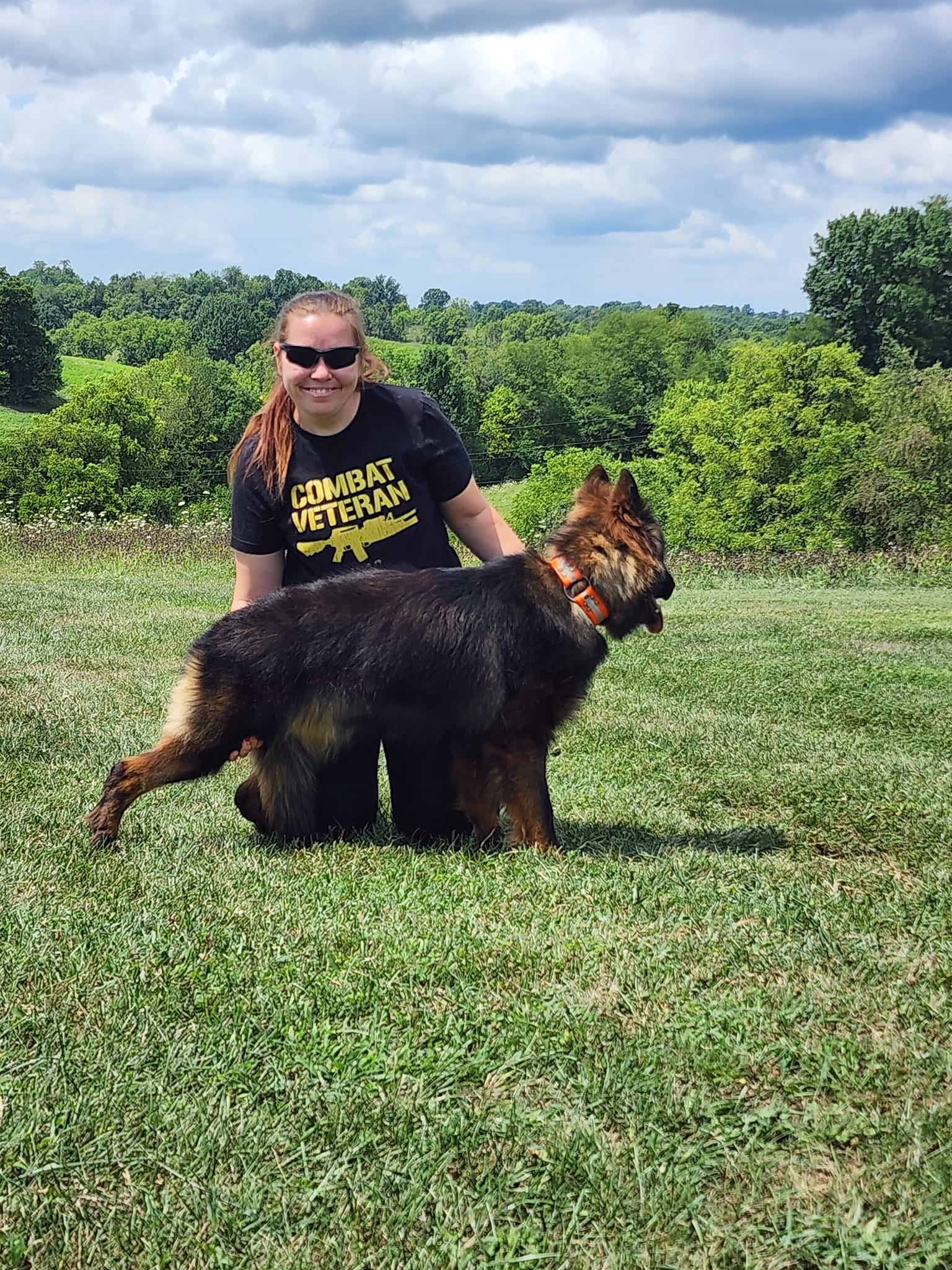 long coat german shepherds