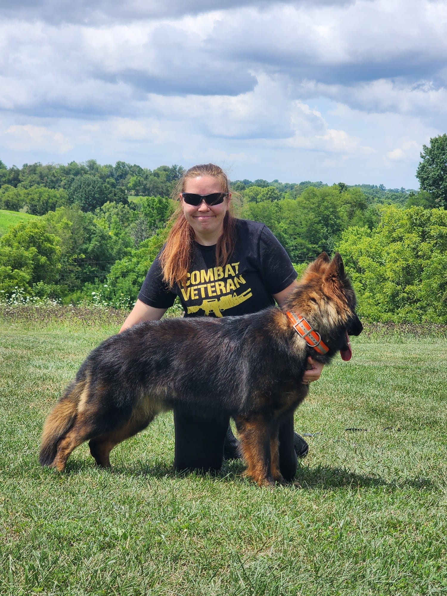 long coat german shepherds